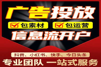 SEM运营公司成功案例解析